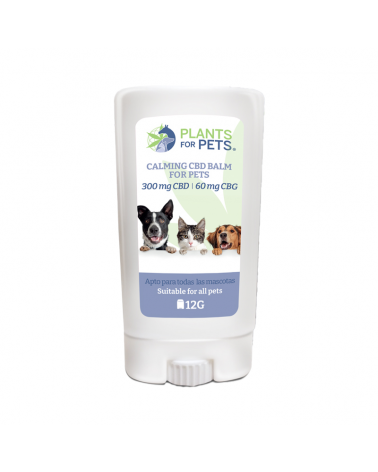 Baume CBD apaisant animaux light | PLANTS FOR PETS