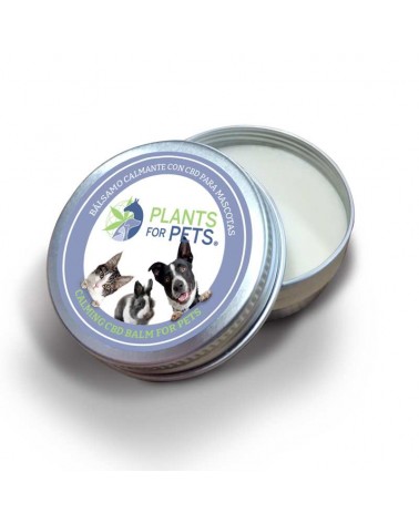 Baume CBD apaisant animaux strong | PLANTS FOR PETS