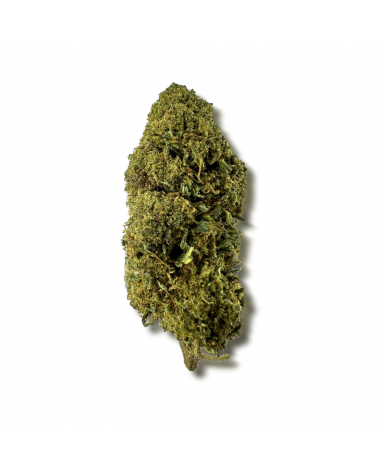 Fleur de CBD MCP-N 20%