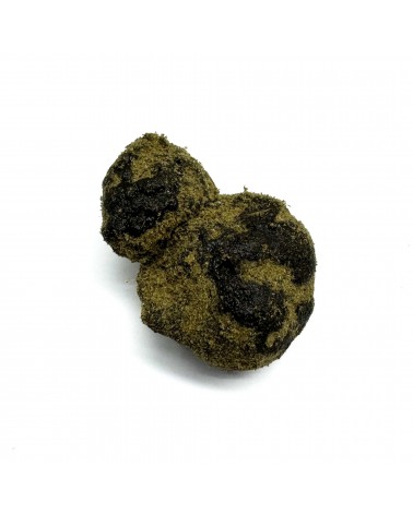 Moonrock MCPN