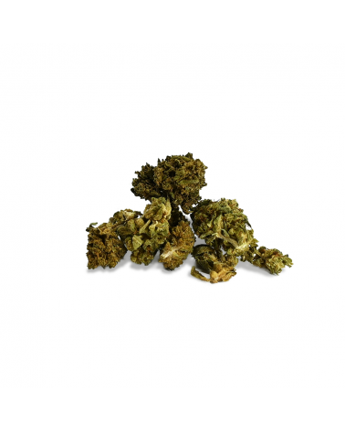 CBD - SMALL BUD