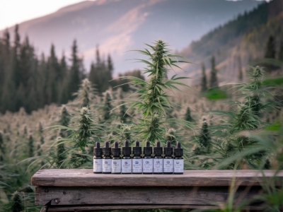 Tout Savoir sur l’Huile de CBD : Bienfaits, Utilisation et Choix